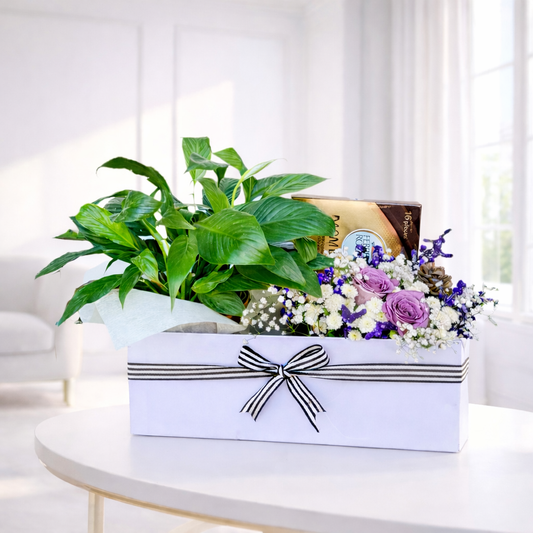 Peace Lily Plant Hamper