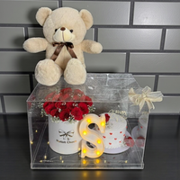 With Teddy Bear