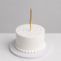 Chocolate Mini Cake (300 gms)