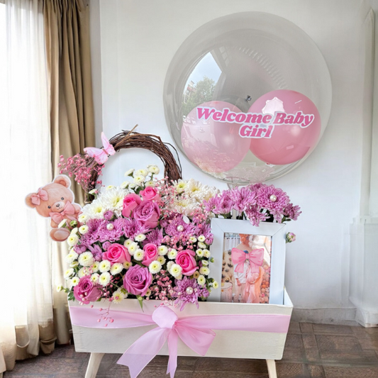 Welcome Baby Girl